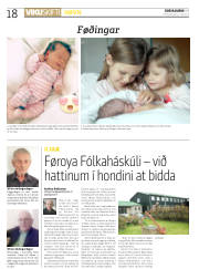 Síða 18
