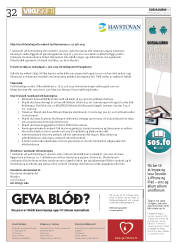 Síða 32