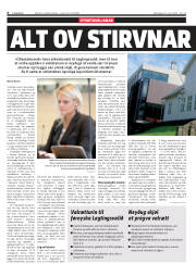 Síða 6