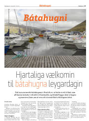 Síða 17