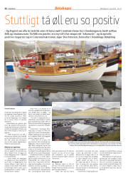 Síða 22