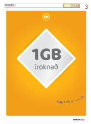 Síða 3