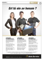 Síða 15