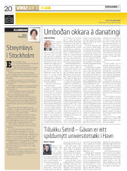 Síða 20