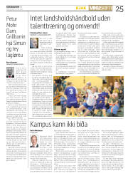 Síða 25