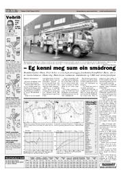 Síða 15
