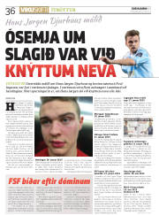 Síða 36