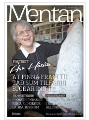Síða 41