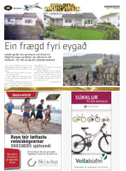 Síða 20