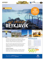 Síða 29