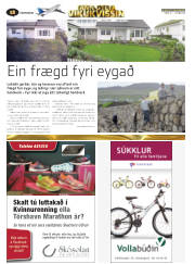 Síða 36