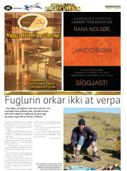 Síða 44