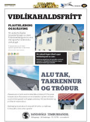 Síða 45