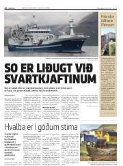 Síða 10