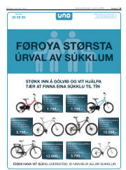Síða 11