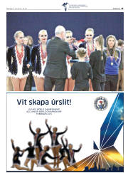 Síða 19