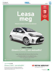 Síða 53