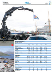 Síða 61