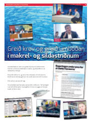 Síða 65