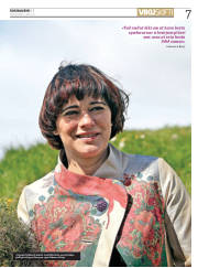 Síða 7