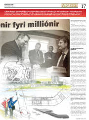 Síða 17