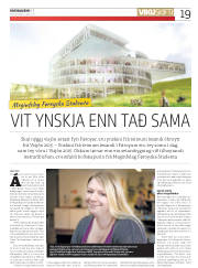 Síða 19