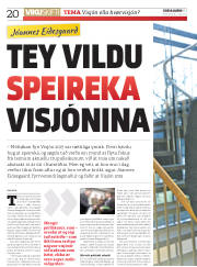 Síða 20