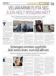 Síða 29
