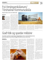 Síða 31
