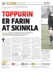 Síða 38