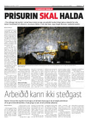 Síða 7