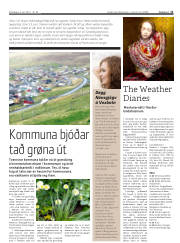 Síða 11