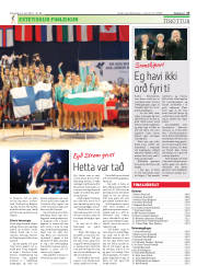 Síða 17