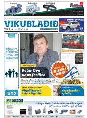 Síða 25