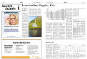 Síða 8