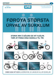 Síða 29