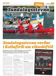 Síða 33
