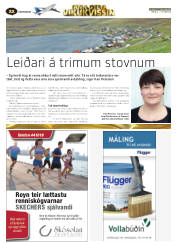 Síða 46