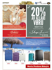 Síða 53