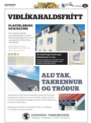 Síða 55