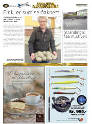 Síða 60