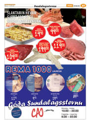 Síða 61