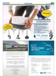 Síða 71
