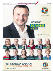 Síða 11