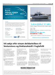 Síða 41