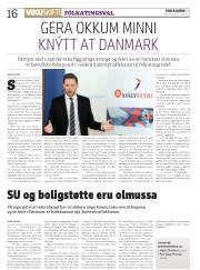 Síða 16