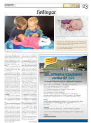 Síða 23