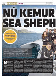 Síða 24