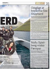 Síða 25