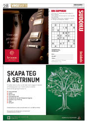 Síða 28